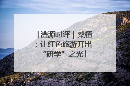 澧源时评｜桑植：让红色旅游开出“研学”之光